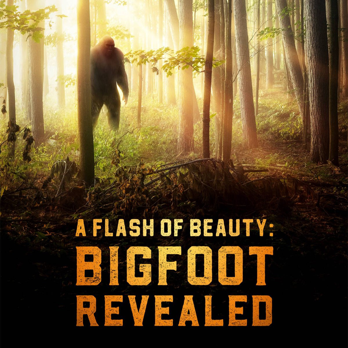 Poster: A Flash of Beauty: Bigfoot Revealed